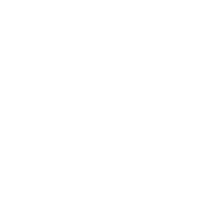safe icon